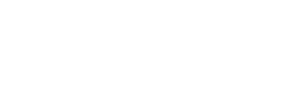 STAYR