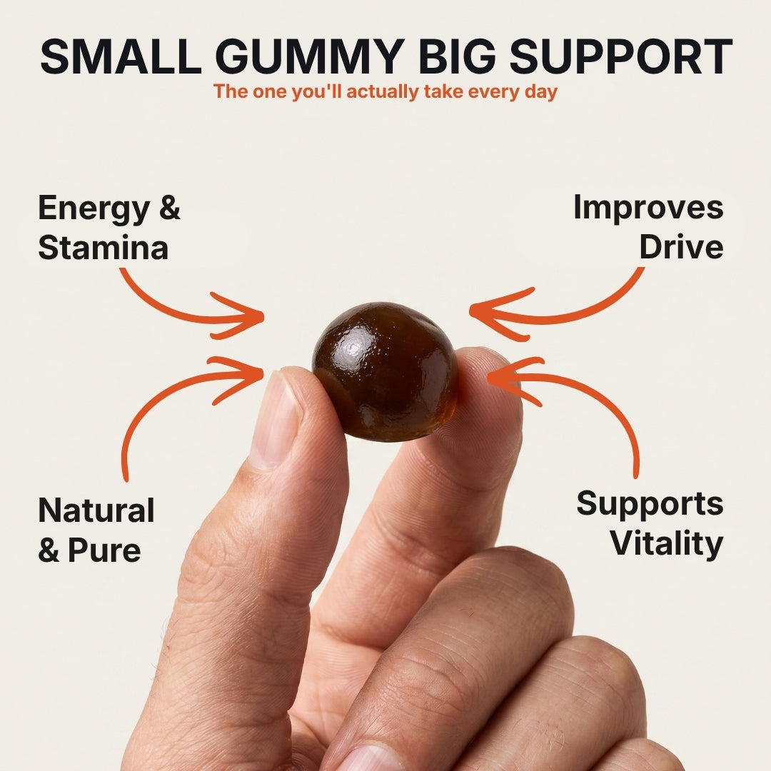 STAYR Daily Shilajit Gummies